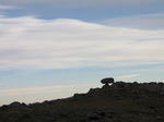 SX32816 Balancing rock.jpg